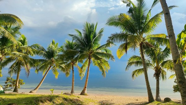 Explore Britain's Coin Minting Legacy: The Complete Guide to Engaging Workshops for Tourists